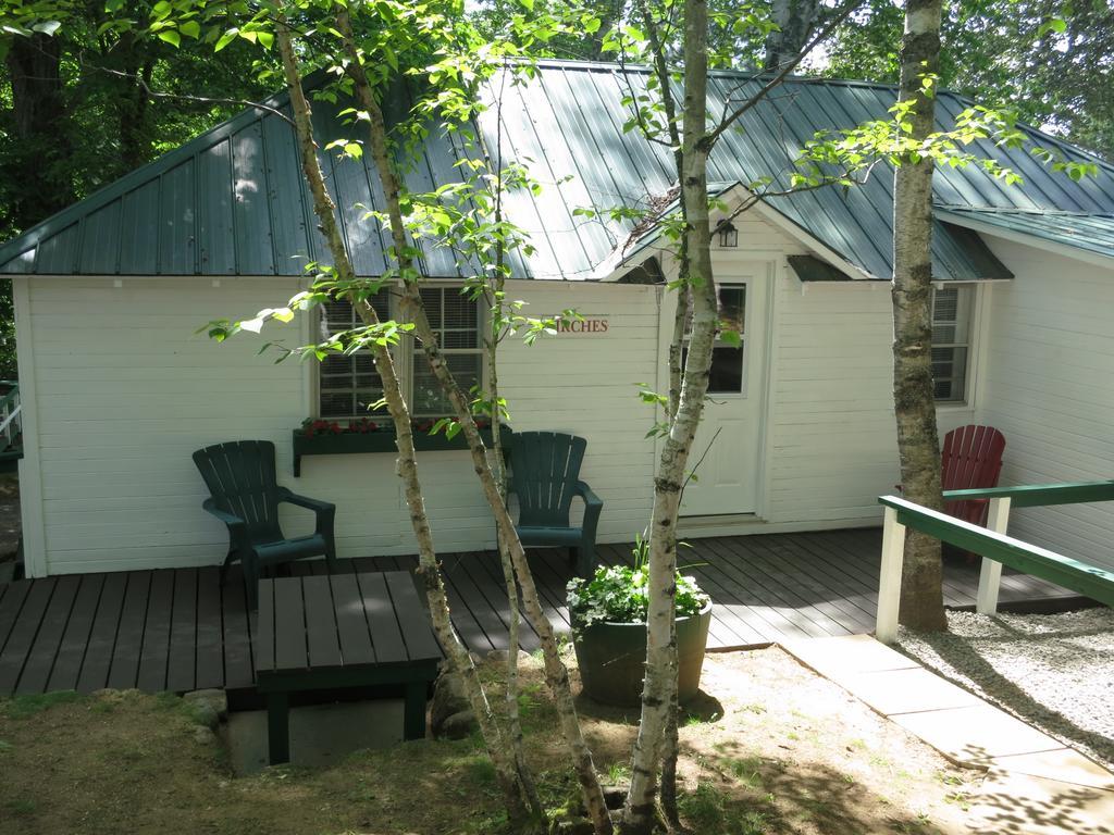 Birch Cliff Lodge On Baptiste Lake Highland Grove Rum bild