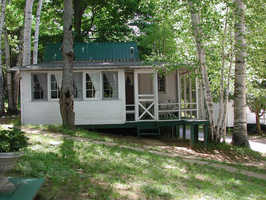 Birch Cliff Lodge On Baptiste Lake Highland Grove Rum bild