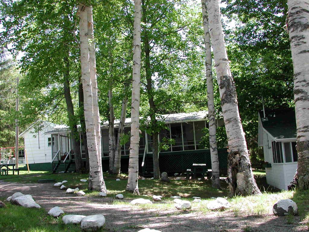 Birch Cliff Lodge On Baptiste Lake Highland Grove Rum bild