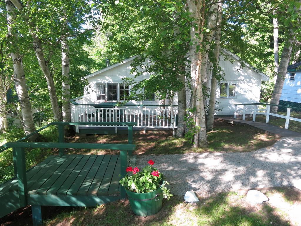 Birch Cliff Lodge On Baptiste Lake Highland Grove Rum bild